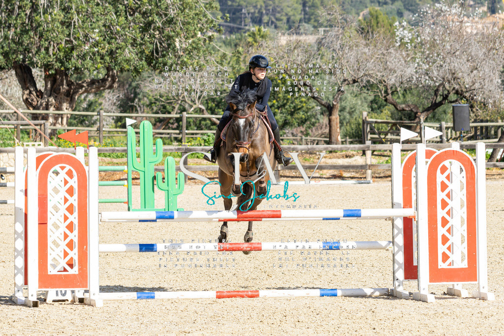 IMG_4144 | s-jay-photography - Realisiert mit Pictrs.com