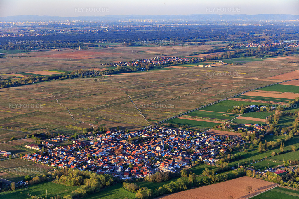 Luftbild: Dorfübersicht am Triefenbach von Westen in Venningen im Bundesland Rheinland-Pfalz in Deutschland. Foto: IMG_077482.jpg vom 21.04.2015 durch Werner Riehm/FLY-FOTO.de