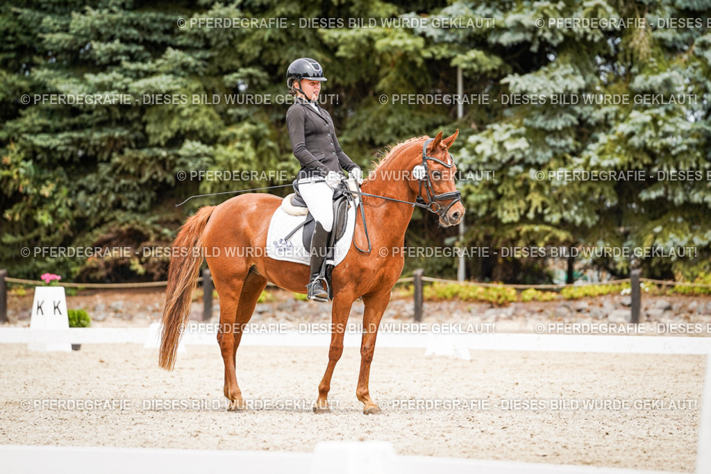 DSC04309 | Pferdegrafie