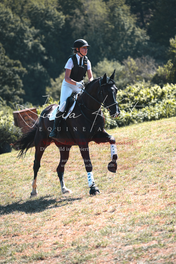 DSC_8364 | Pferde- und Turnierfotografie in Westsachsen. Pferdeportraits, Auftragszeichnungen und intuitive Kunst.