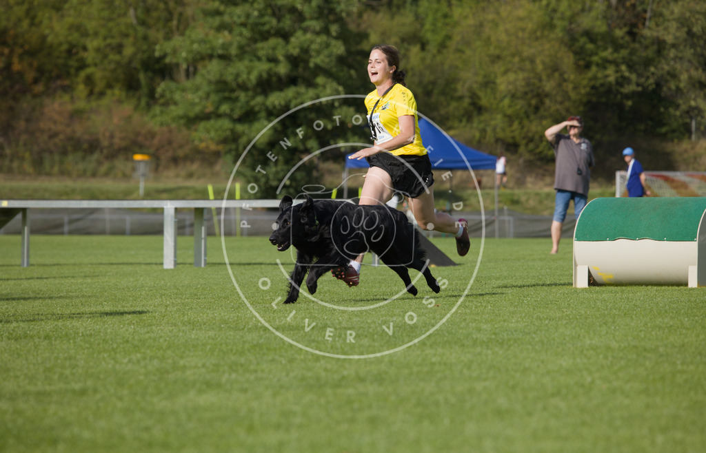 0L8A3855 | Hundefotografie, Tierfotograf, Pfotenfotografie, Fotoshooting Hund, Hunde Portrait, Hundesport, Hundeportraits, Heideshooting, Hunde, Sportfotograf, Hundefotograf, Turnierhundsport, THS,  - Realisiert mit Pictrs.com