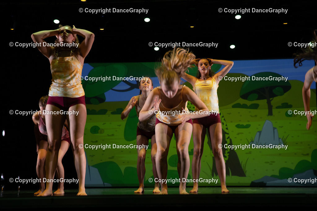 GPHY6348 | DanceGraphy - Realisiert mit Pictrs.com