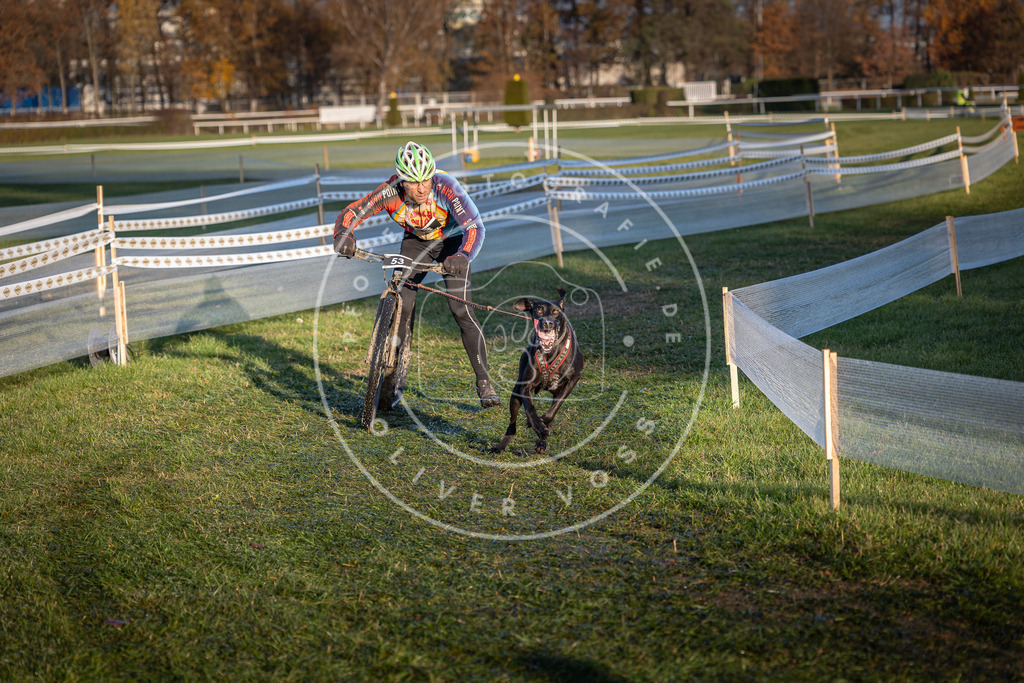 CaniXpix_0L8A3004 | Hundefotografie, Tierfotograf, Pfotenfotografie, Fotoshooting Hund, Hunde Portrait, Hundesport, Hundeportraits, Heideshooting, Hunde, Sportfotograf, Hundefotograf, Turnierhundsport, THS,  - Realisiert mit Pictrs.com