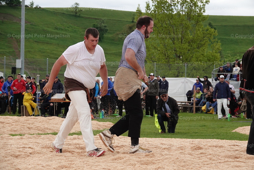 DSC00623 | Schwingen - Realisiert mit Pictrs.com