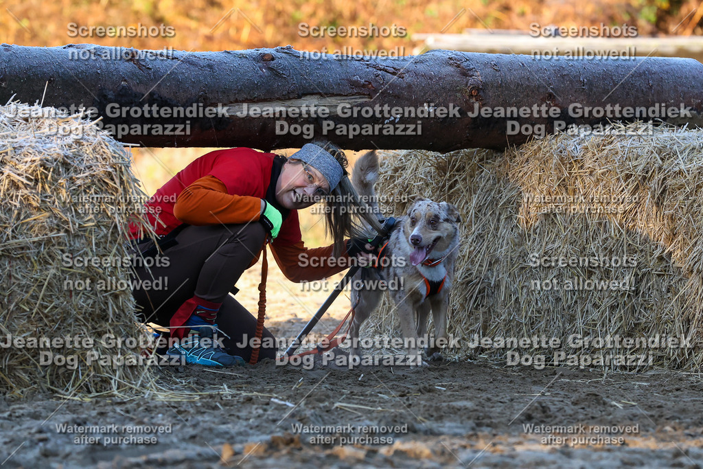 Dog Paparazzi - Strongdog 10-25-558 | Dog Paparazzi Jeanette Grottendiek Fotografie & Videografie - Realisiert mit Pictrs.com