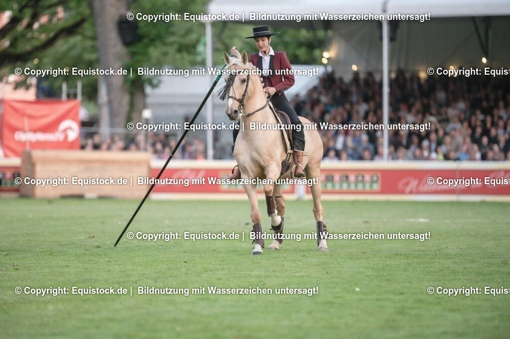 20230526_Pferdenacht_0703 | equistock