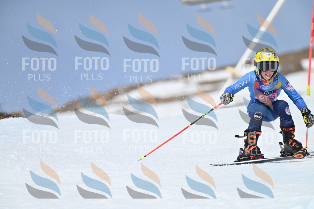 BGV_3715 | holidayphoto