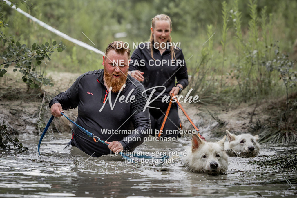nelerasche_so0800-0930_445 | nelerasche