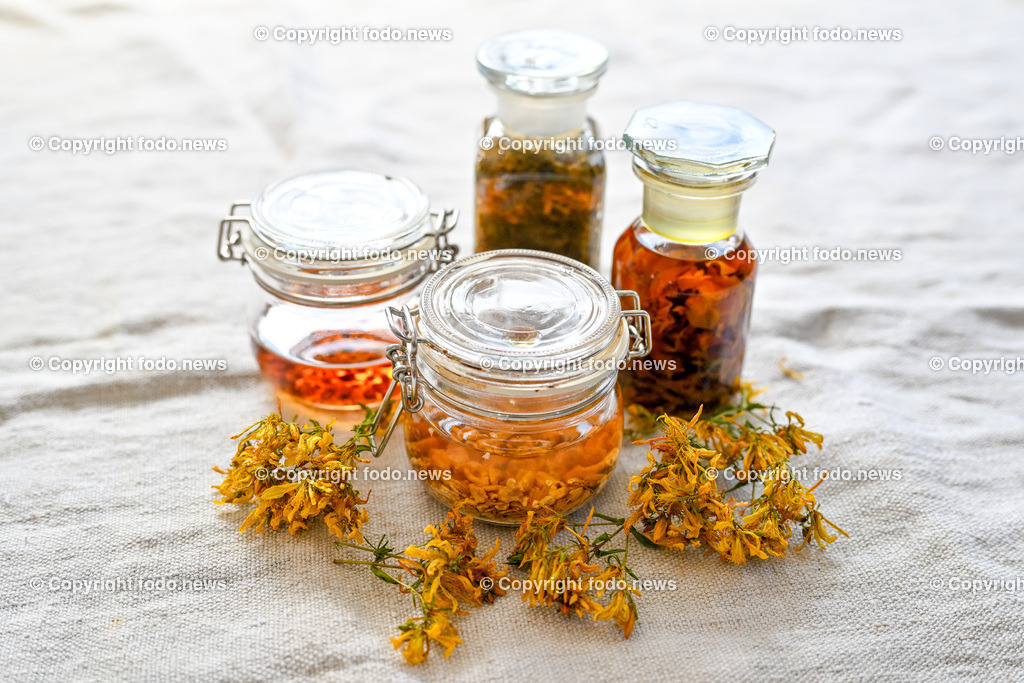 Doris Kern_ Kraeuter_ 03.07.2024-20 | 03.07.2024, Peilstein, AUT, Kraeuter, im Bild Verschiedene Tinkturen in Alkohol angesetzt, Johanniskraut