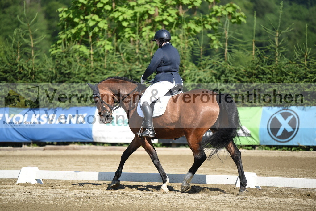 DSC_7321 | equestrian-live-com