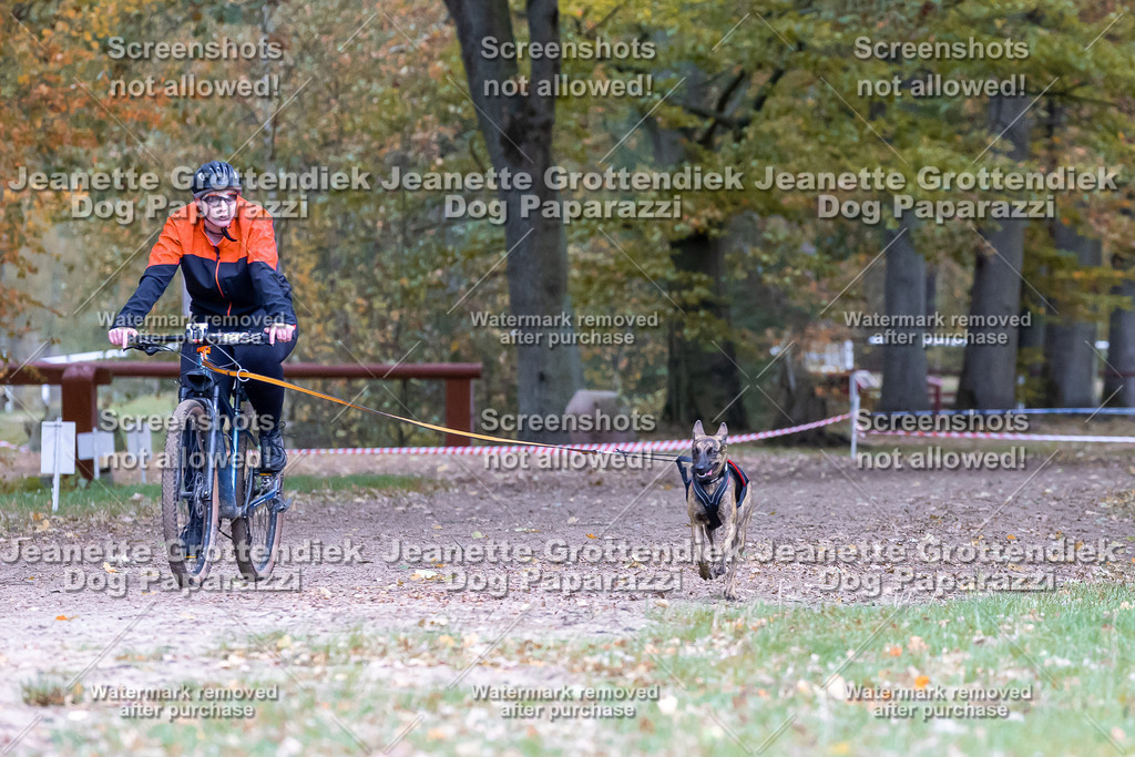 Dog Paparazzi - SD CaniX Championship 2025-594 | Dog Paparazzi Jeanette Grottendiek Fotografie & Videografie - Realisiert mit Pictrs.com