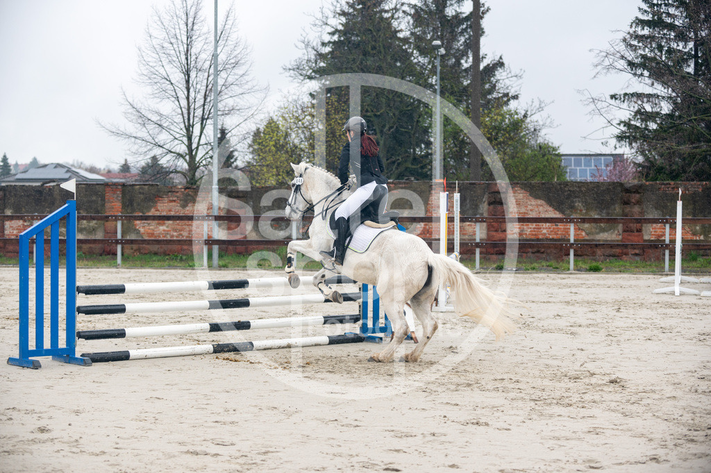 DSC_8619 | sattelsport - Realisiert mit Pictrs.com