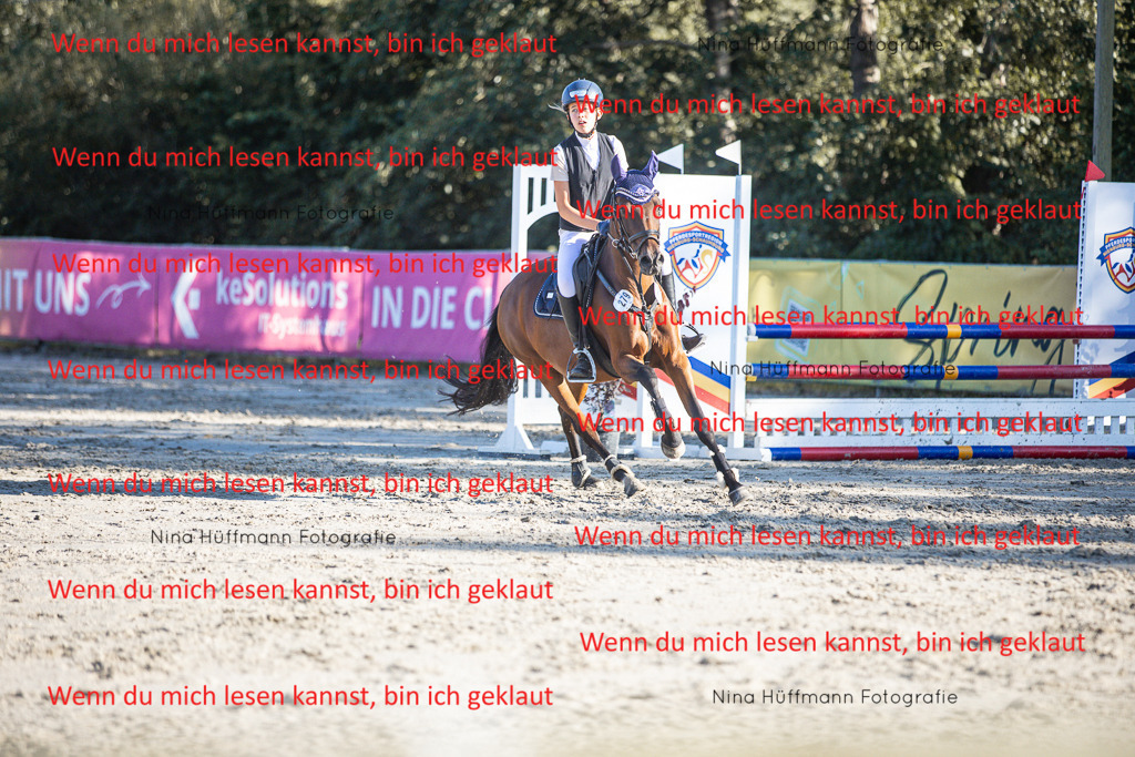 BK1A7888 | Turnierbilder Turnierfotos Nina Hüffmann Turnierfotografie Pferdefotografie Tierzeichnung Haustierzeichnung Pferdezeichnung Hundezeichnung Videograf  - Realisiert mit Pictrs.com