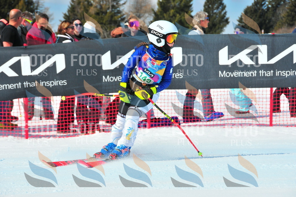 DSC_1298 | holidayphoto