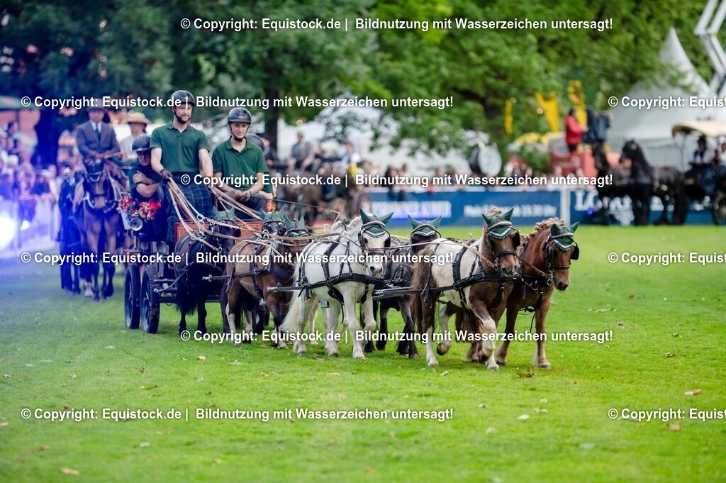 20250606_Lange-Pferdenacht_0168 | Foto: Thomas Hartig