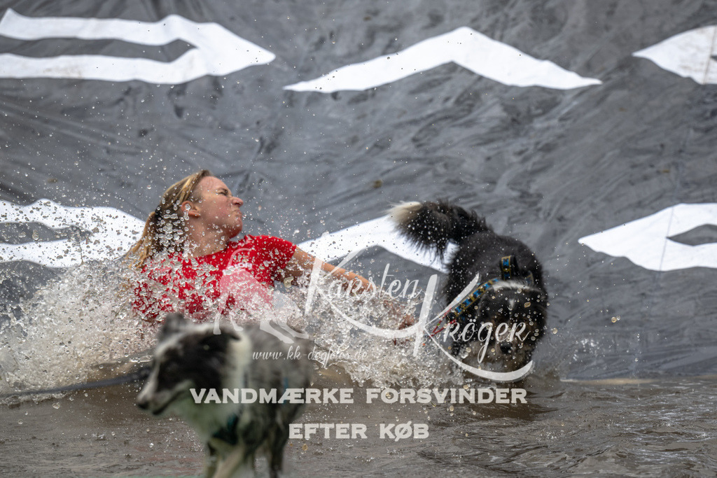 1338_ZZ92746 | kk-dogfotos