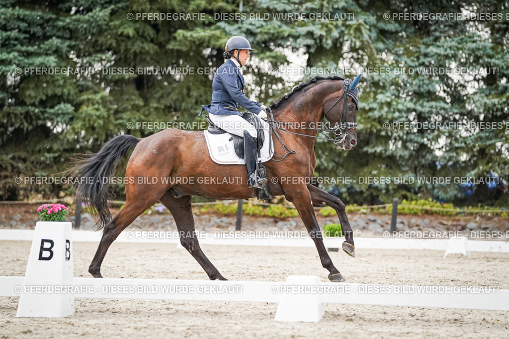 DSC09569 | Pferdegrafie