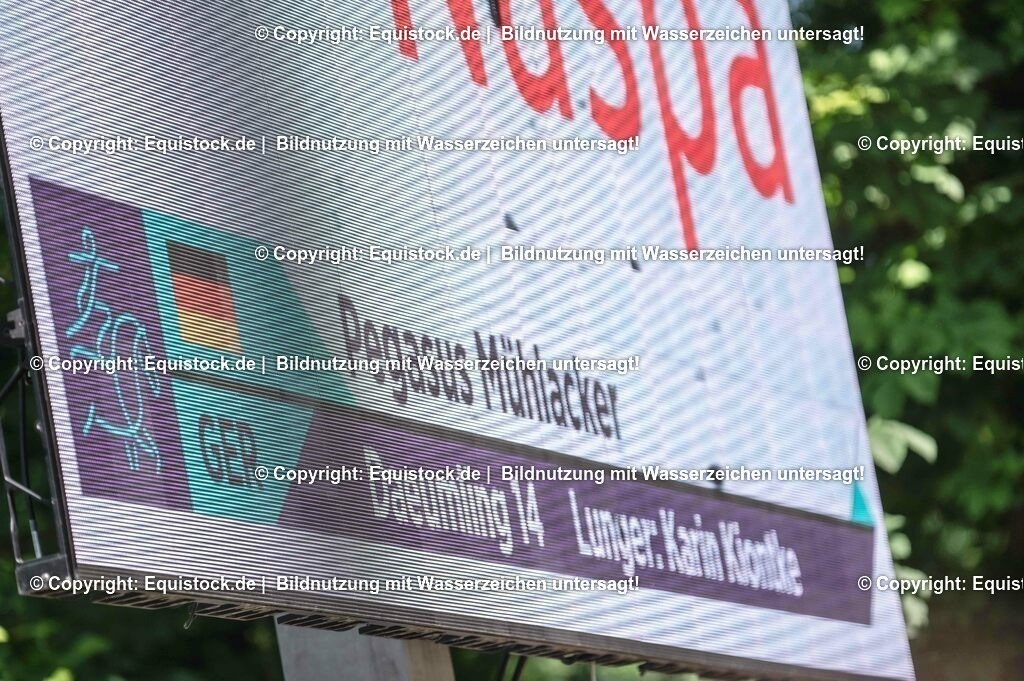 20230528_Voltigieren_NASPA_0436 | equistock