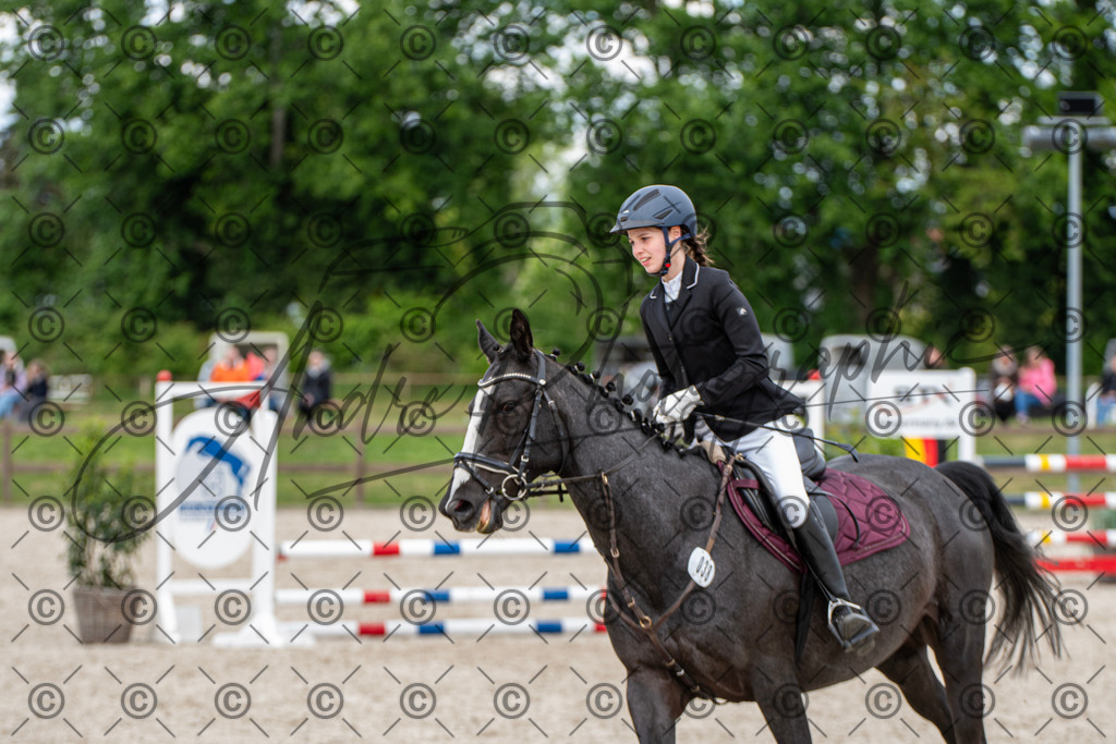 KPT_6201 | andre_photographic