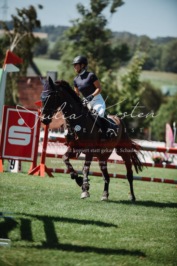 DSC_3283 | Pferde- und Turnierfotografie in Westsachsen. Pferdeportraits, Auftragszeichnungen und intuitive Kunst.
