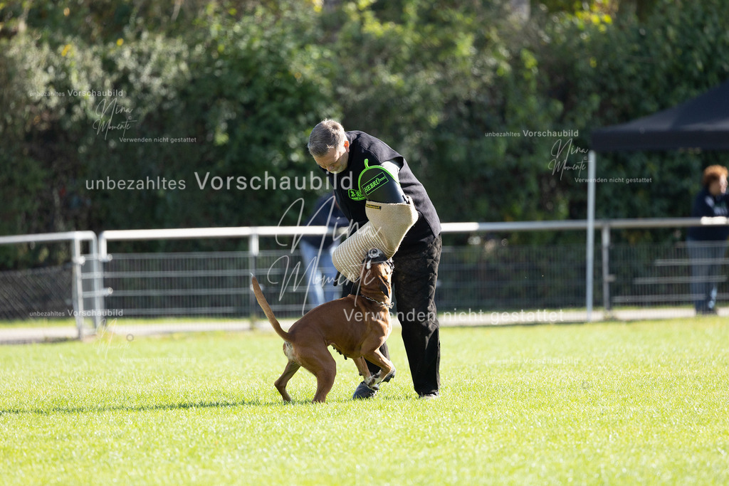 _16A5378 | Einzigartige Fotos von Hunden & Menschen –Actionfotos, Portraits, Vereinsaufnahmen & Paarshootings – authentisch, lebendig & mit Herz.