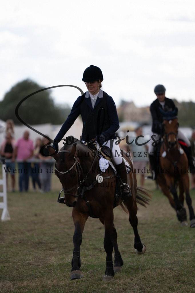 A7V09513 | Pferdefotograf