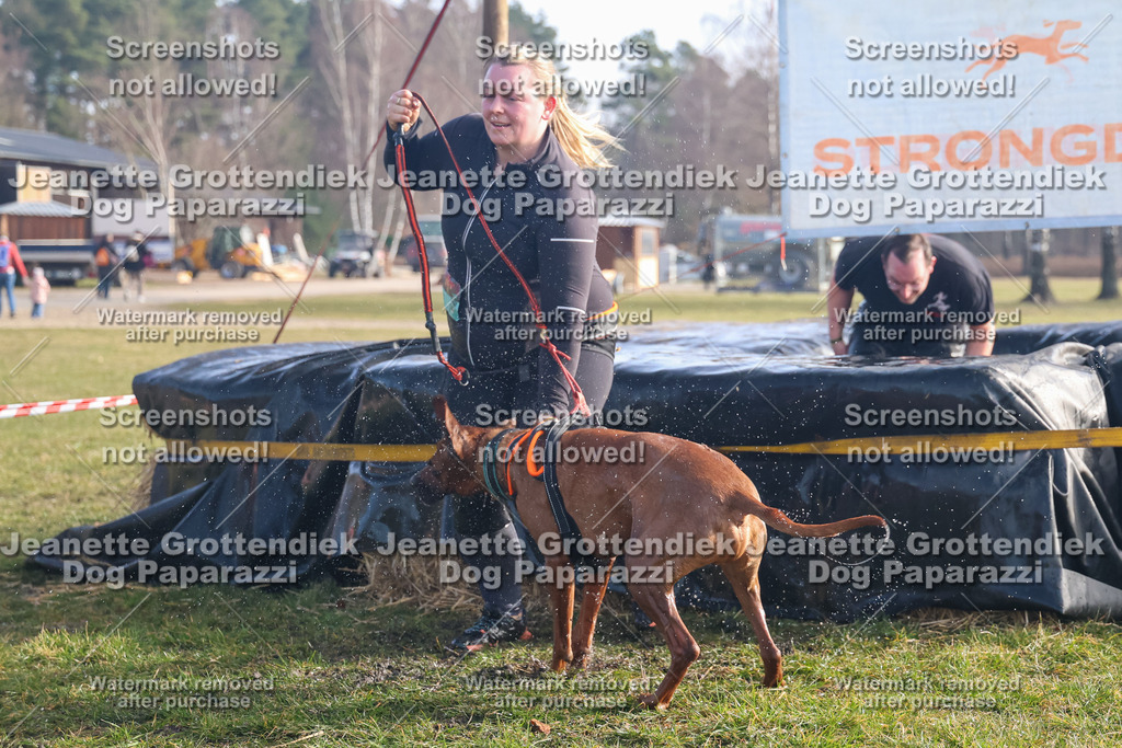 Dog Paparazzi - Strongdog North Mrz26-502 | Dog Paparazzi Jeanette Grottendiek Fotografie & Videografie - Realisiert mit Pictrs.com