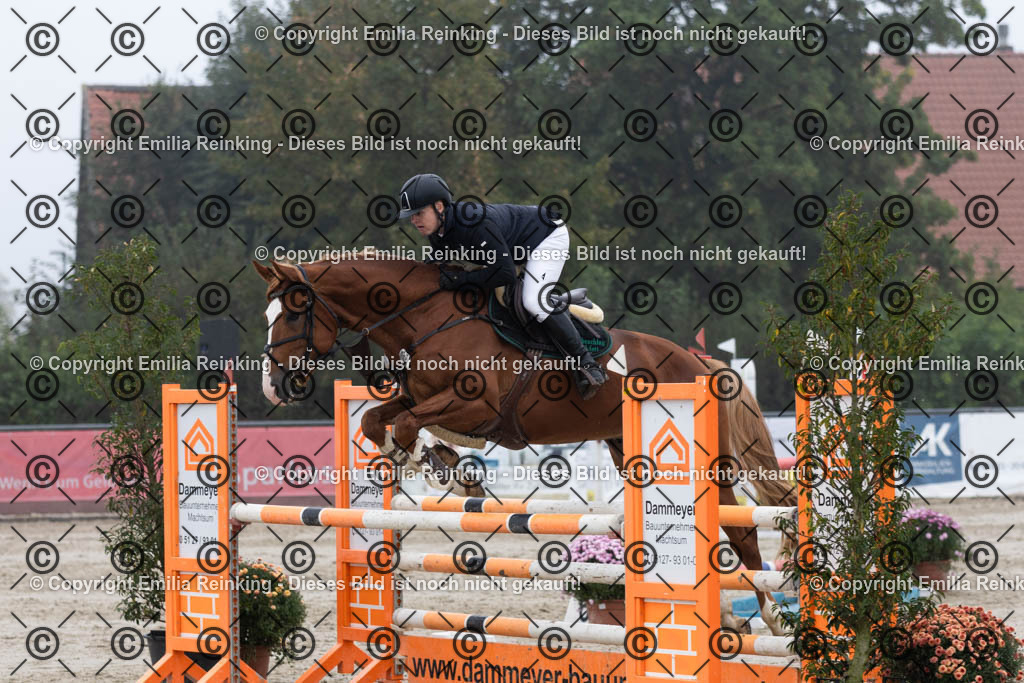 CL5A4793 | Emilia Reinking Fotografie - Realisiert mit Pictrs.com