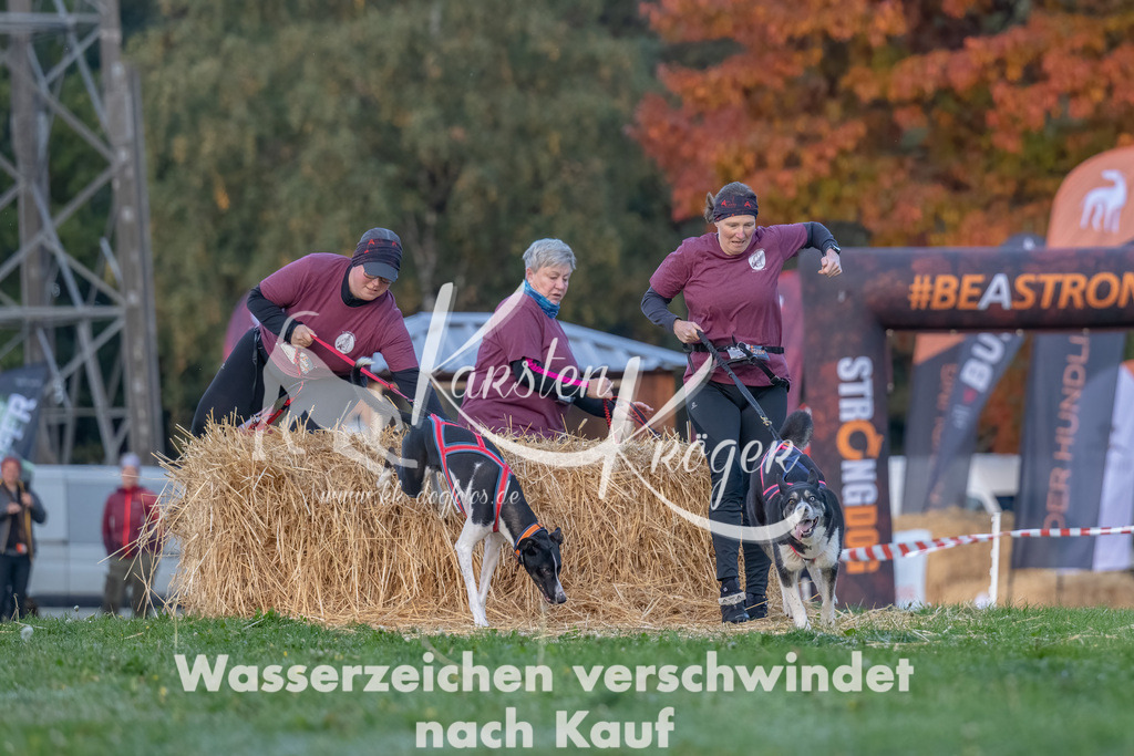 0826_ZZ90618-Bearbeitet | kk-dogfotos