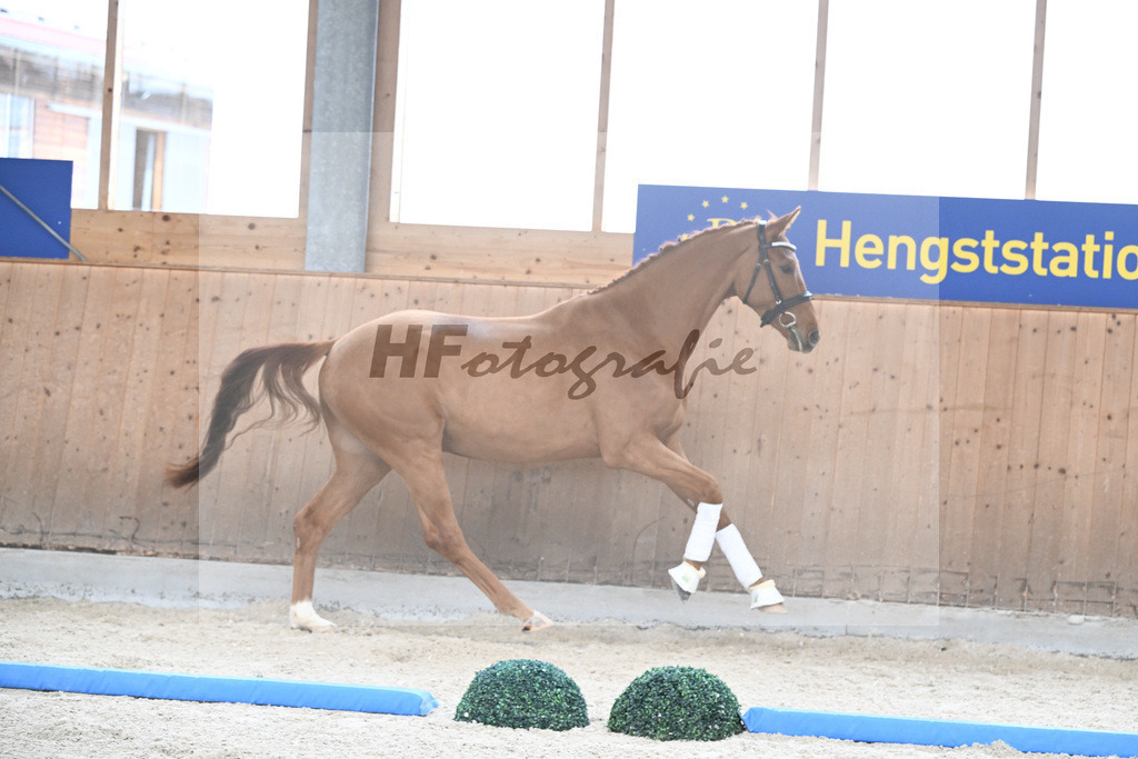 Kat-Nr. 89 Dekanto v. Desperados_Hoffmann_7241676 | hf-fotografie - Realizzato con Pictrs.com