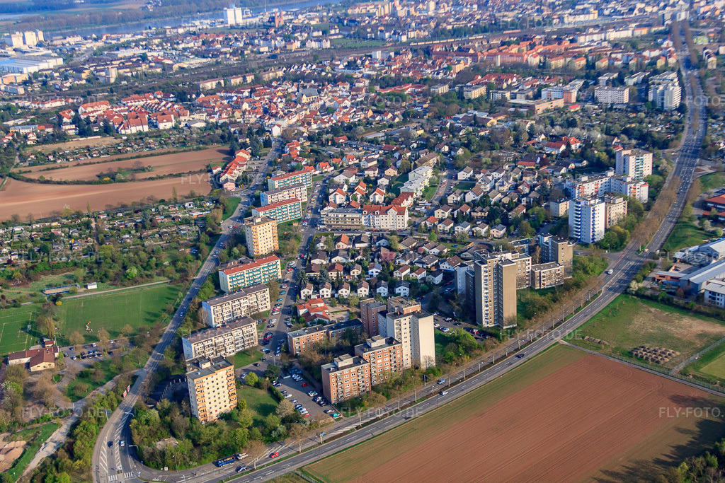 Luftbild: Wohnquartier mit Hochhaus und Einzelbebauung zwischen Theodor-Heuss-Straße und Heinrich-von-Gagern-Straße im Ortsteil Neuhausen in Worms im Bundesland Rheinland-Pfalz in Deutschland. Foto: IMG_49840.jpg vom 13.04.2012 durch Werner Riehm/FLY-FOTO.deAuflösung des Originals: 4752 x 3168 px