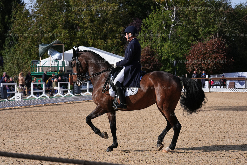 13-226-S___ -Marixx-7030 | working equitationturnier fotograf videograf stoibphotography marixx film working equitation deutschland reitsport turnierfotografie eventfotografie equestrian events
