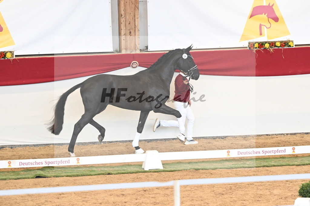 Kat.-Nr. 64 v. Fürst Samarant_Beckmann_3260931 | hf-fotografie - Realizzato con Pictrs.com