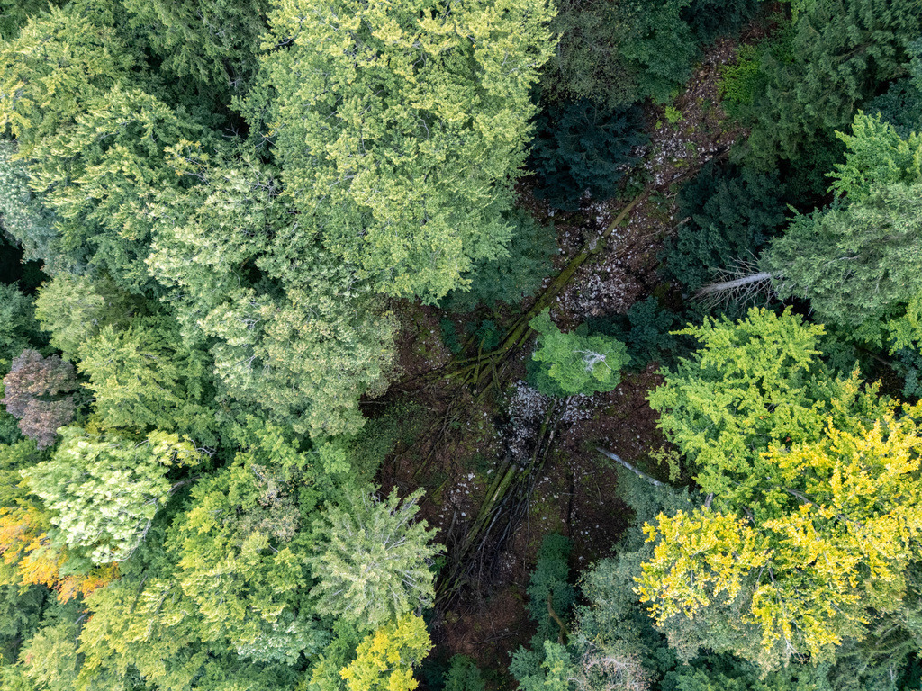 ZD250916101710-2-HDR | default