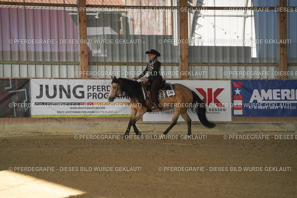 DSC08348 | Pferdegrafie