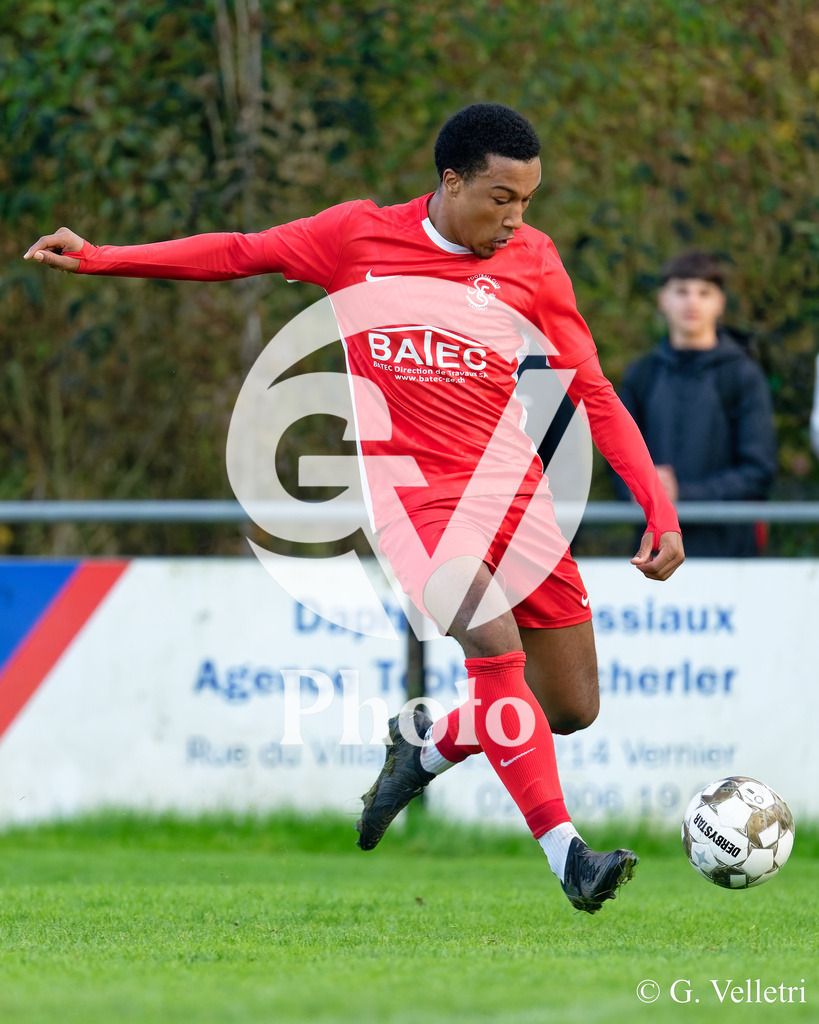 DZ9_1549 | Velletri Photo