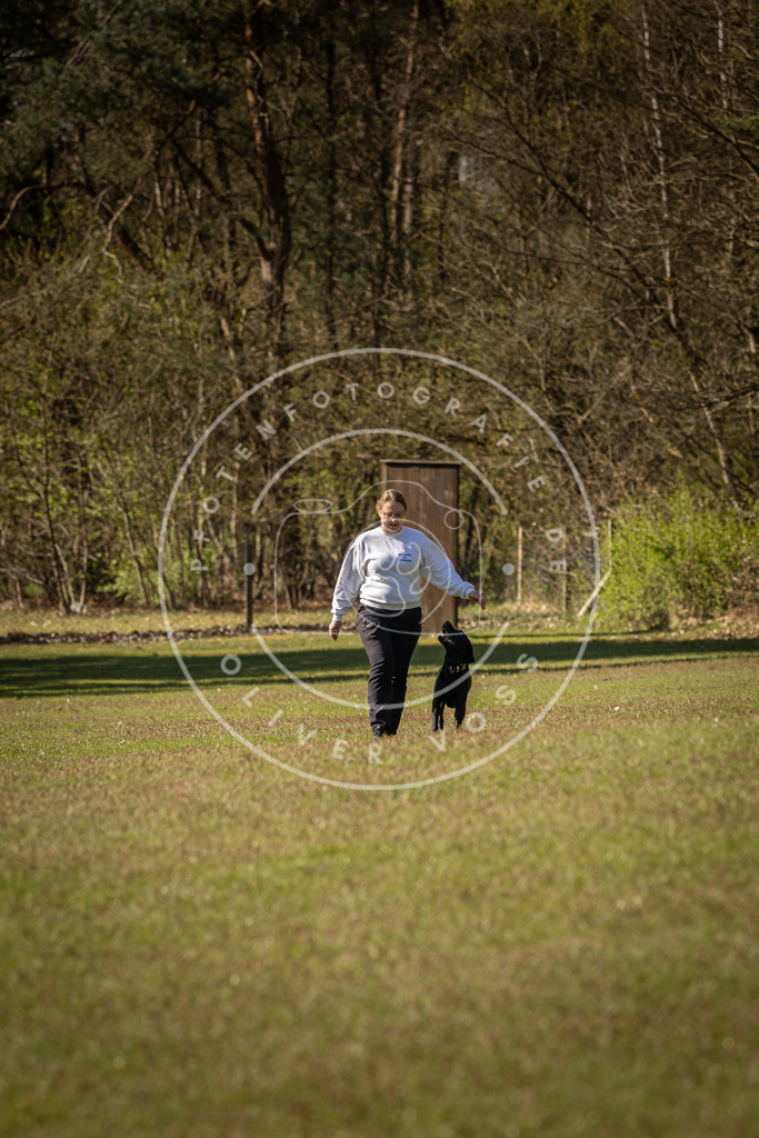 Pfotenfotografie_DV3A0227 | Hundefotografie, Tierfotograf, Pfotenfotografie, Fotoshooting Hund, Hunde Portrait, Hundesport, Hundeportraits, Heideshooting, Hunde, Sportfotograf, Hundefotograf, Turnierhundsport, THS,  - Realisiert mit Pictrs.com