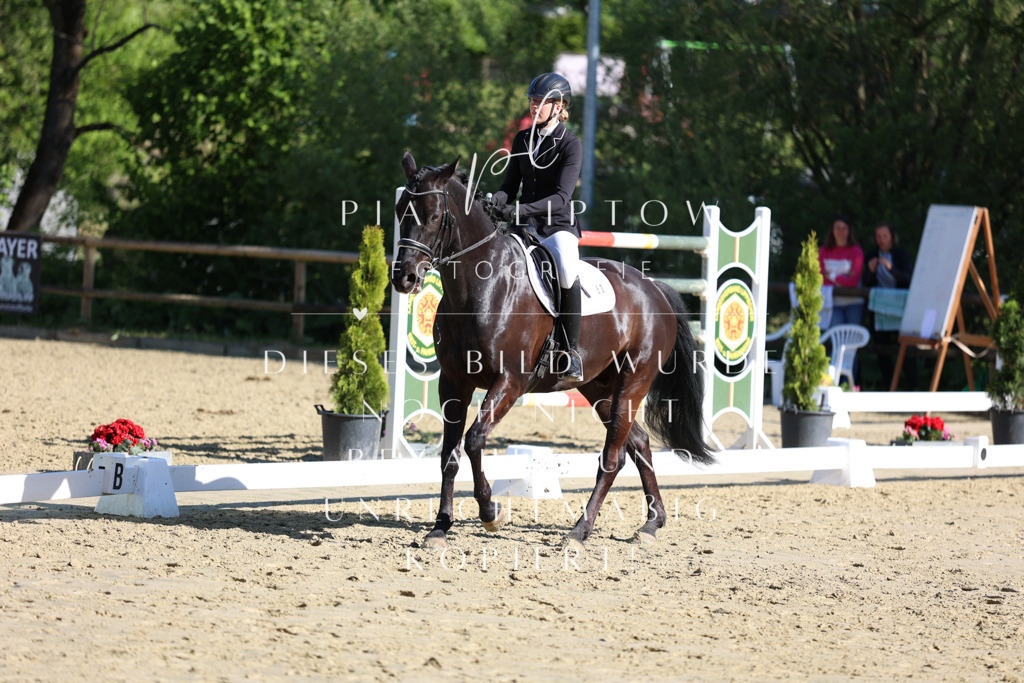 IMGT9630 | pl-fotografie