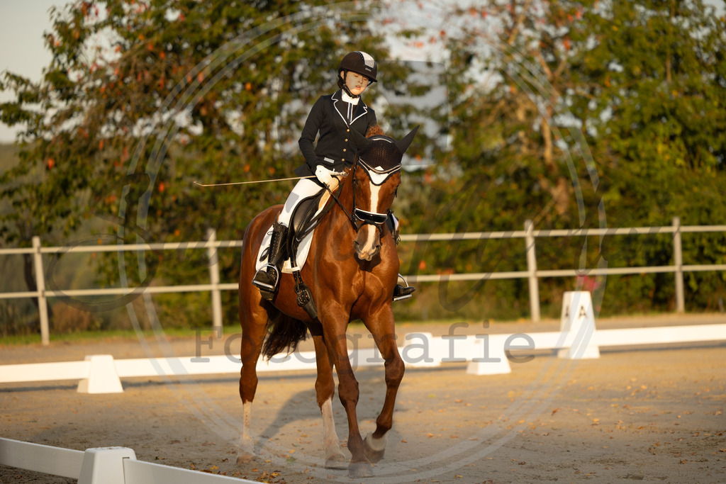 994A9936 | sabrinanicolaifotografie - Realisiert mit Pictrs.com