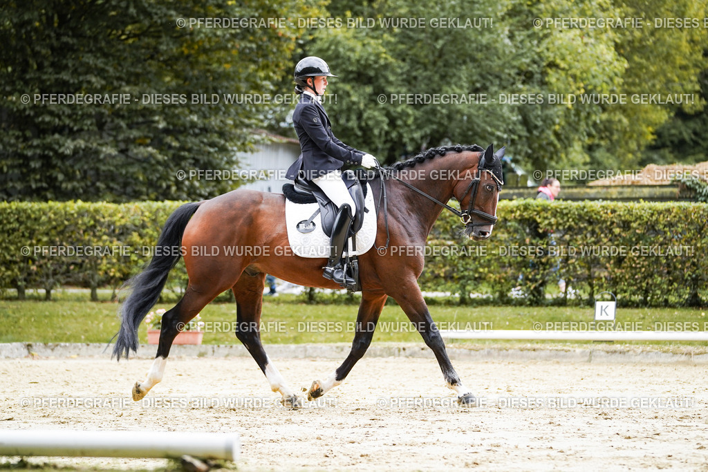 DSC07886 | Pferdegrafie