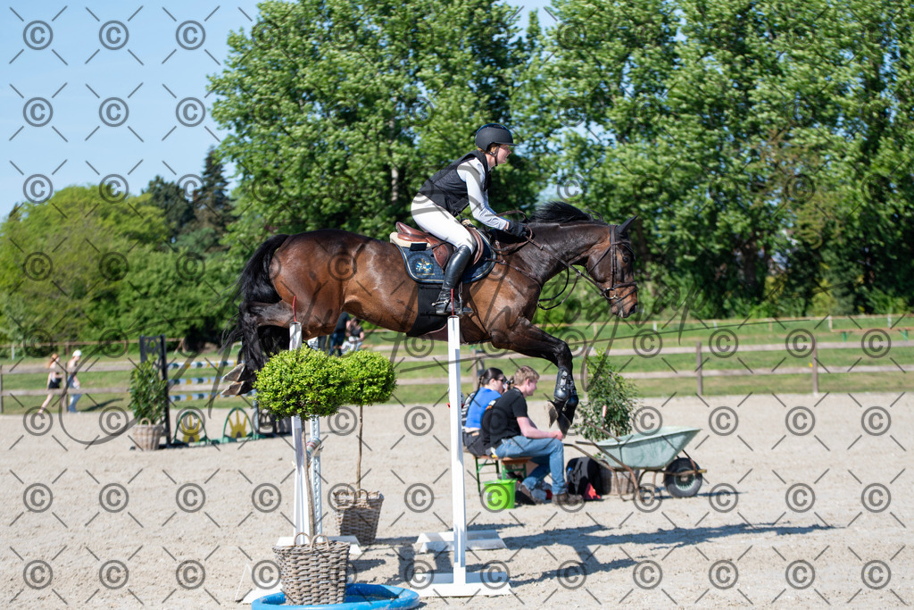 KPT_1704 | andre_photographic