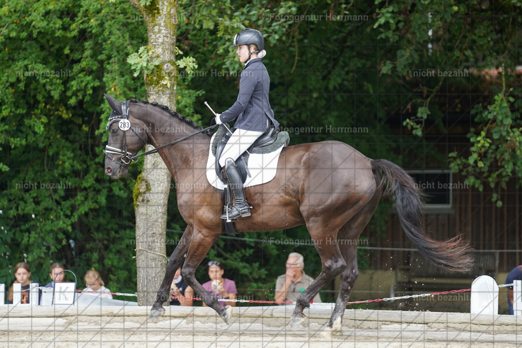 20230826-FAH05233 | Forstinning, 2023, Dressurturnier, Turniersportbilder, Turnierfotografen Bayern, Fotoagentur Herrmann, Reitsportfotografie, Turnierbilder
