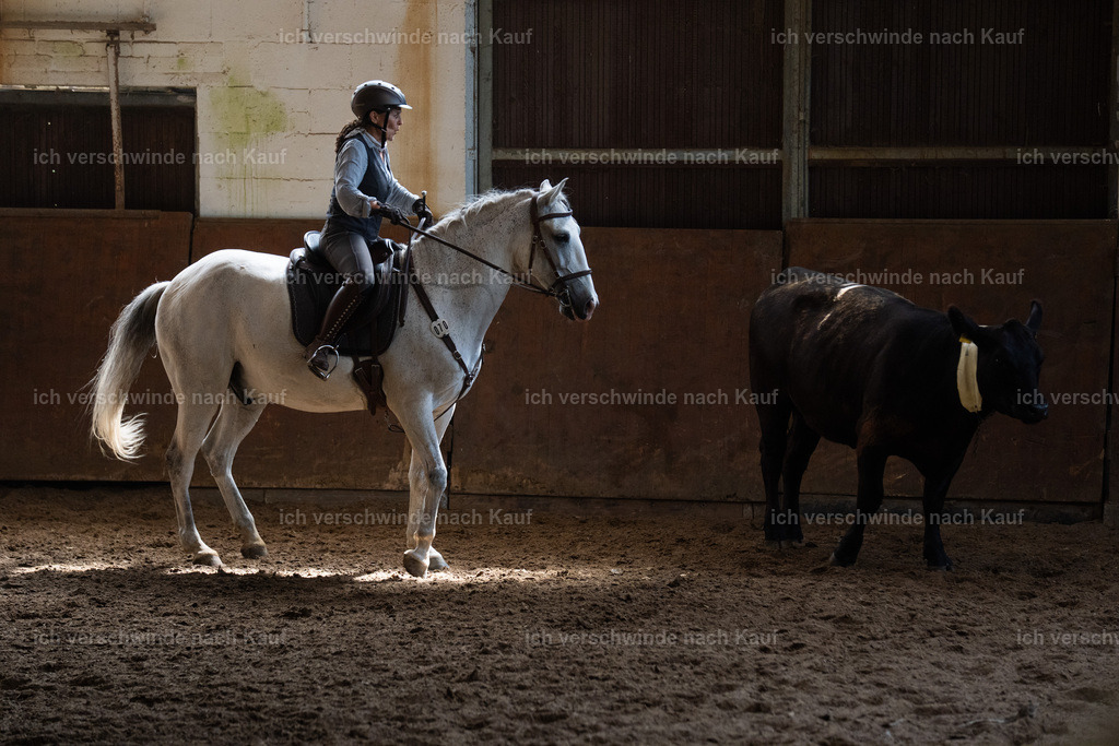 WL_COW_70_SinaFilmArt_IN04033 | working equitationturnier fotograf videograf stoibphotography marixx film working equitation deutschland reitsport turnierfotografie eventfotografie equestrian events