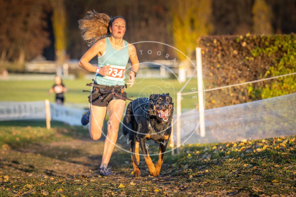 CaniXpix_DV3A5205 | Hundefotografie, Tierfotograf, Pfotenfotografie, Fotoshooting Hund, Hunde Portrait, Hundesport, Hundeportraits, Heideshooting, Hunde, Sportfotograf, Hundefotograf, Turnierhundsport, THS,  - Realisiert mit Pictrs.com
