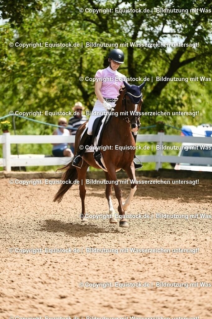 20230716_03_Dressurprfg. Kl.L - Tr._0226 | equistock