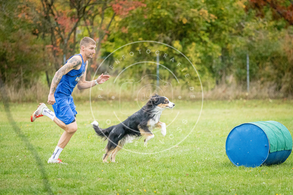 Pfotenfotografie_DV3A0866 | Hundefotografie, Tierfotograf, Pfotenfotografie, Fotoshooting Hund, Hunde Portrait, Hundesport, Hundeportraits, Heideshooting, Hunde, Sportfotograf, Hundefotograf, Turnierhundsport, THS,  - Realisiert mit Pictrs.com