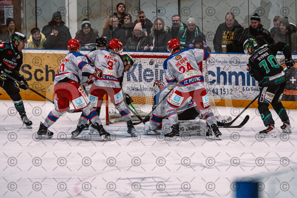 Alligators_vs_Peiting_04_01_2026-043 | Höchstadt Alligators Fotogalerie: Eishockey-Action aus Franken. Professionelle Spielfotos, Portraits & Stadionbilder zum Download. Jetzt entdecken! - Realisiert mit Pictrs.com