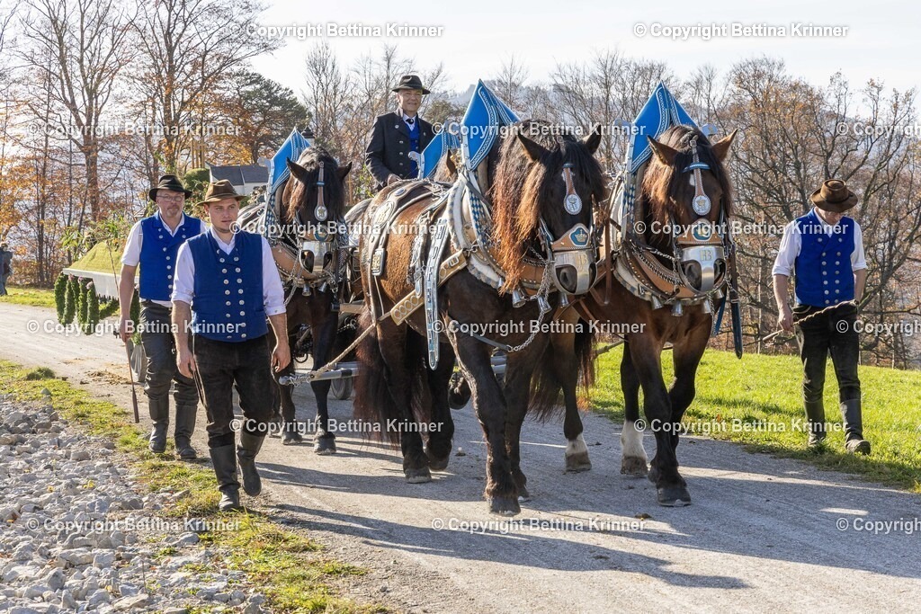 LBT24-1545 | foto-bettina-krinner - Realisiert mit Pictrs.com