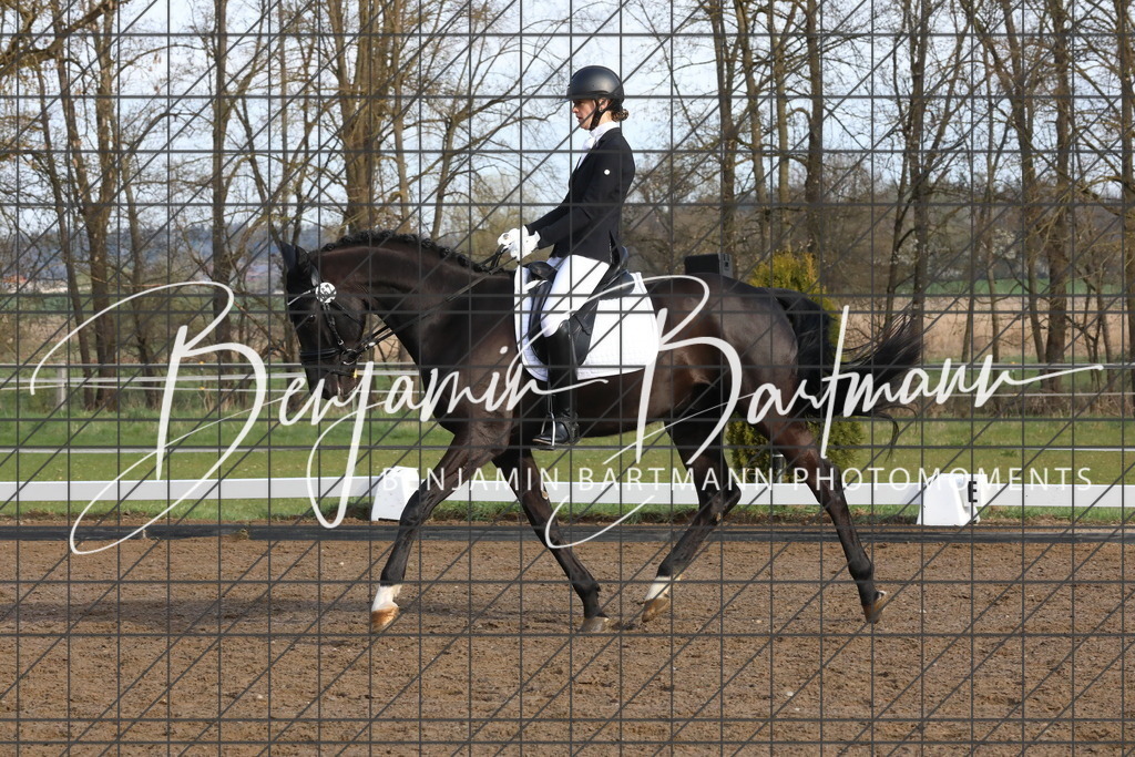 AZ2A6352 | Benjamin Bartmann Photomoments