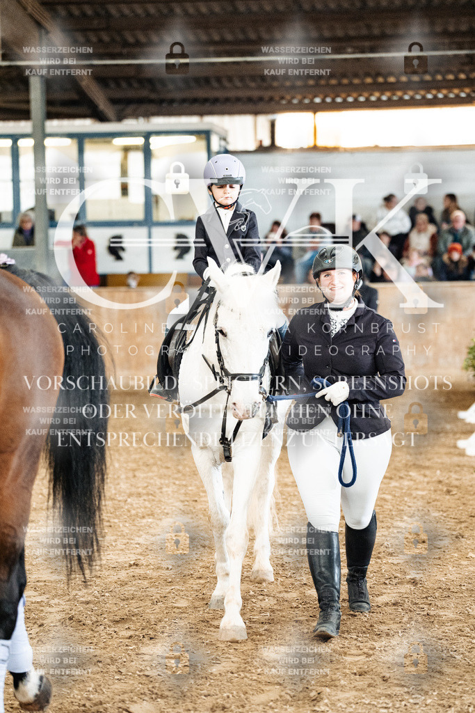 CK905646 | Turnierfotografie Pferdefotografie Trier Rheinland-Pfalz Pferdesport Reitsport Tierfotografie Sportfotografie Pferdevideo Pferdevideografie Equestrianvideography equestrianphotography  - Realized with Pictrs.com